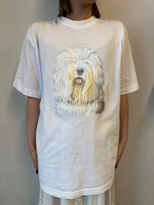 T-シャツ/Print