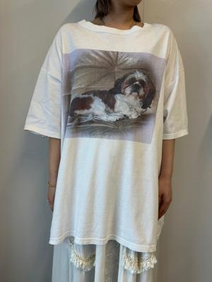 T-シャツ/Print
