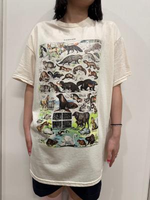 T-シャツ/Print